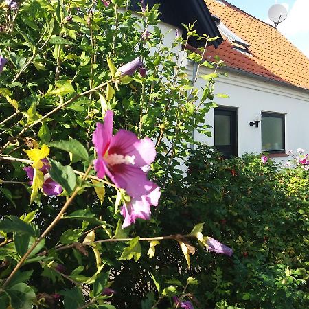 B & B Hygge Stoense Екстериор снимка